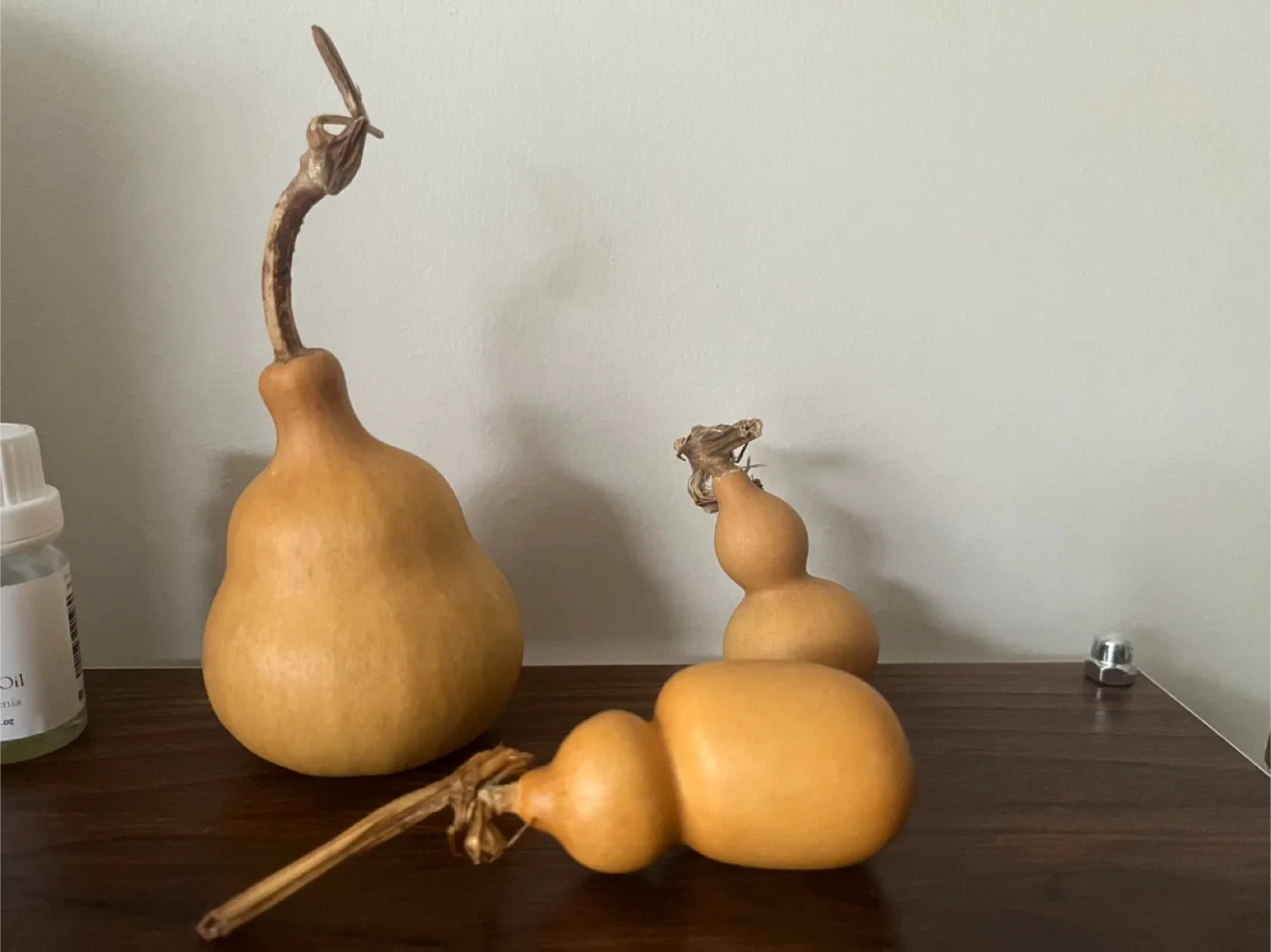 Decorative Dried Gourds 3 for$10