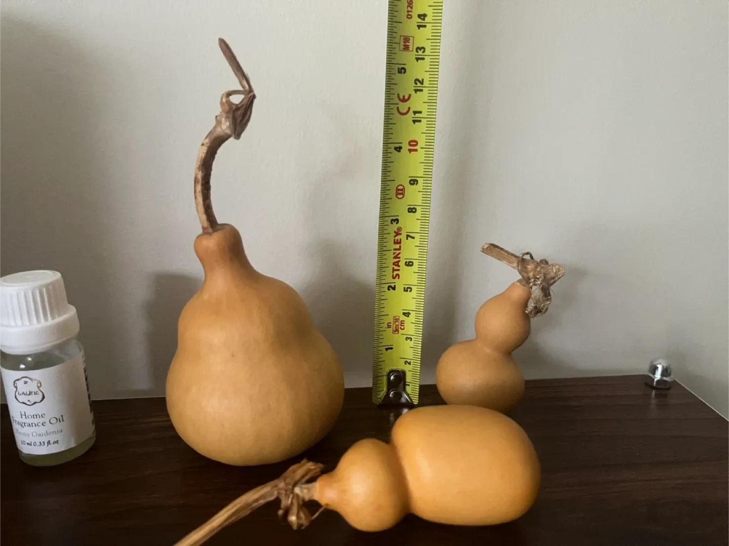 Decorative Dried Gourds 3 for$10 image indicator(2)