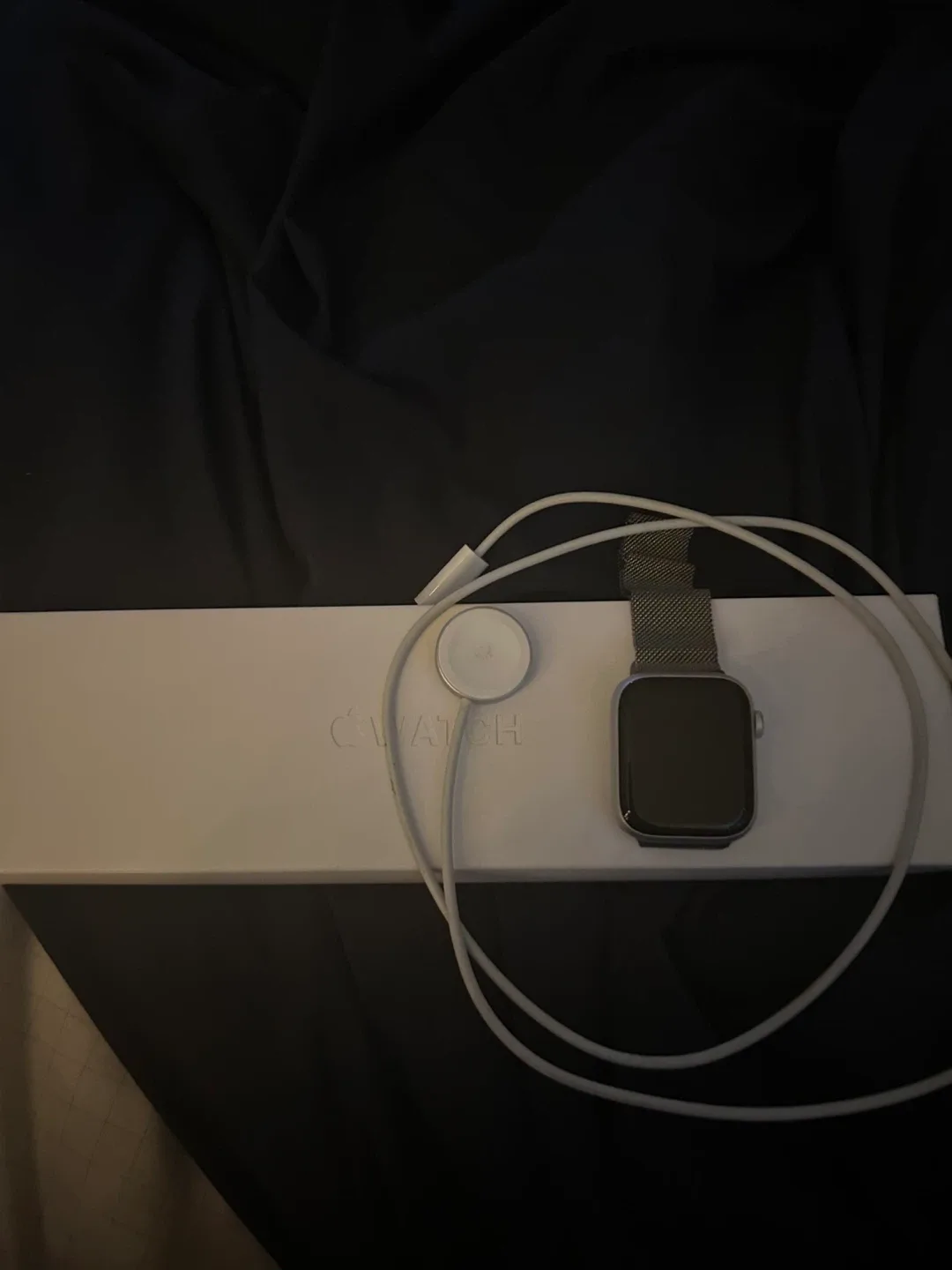 Apple Watch Series 8 Magnetic loop