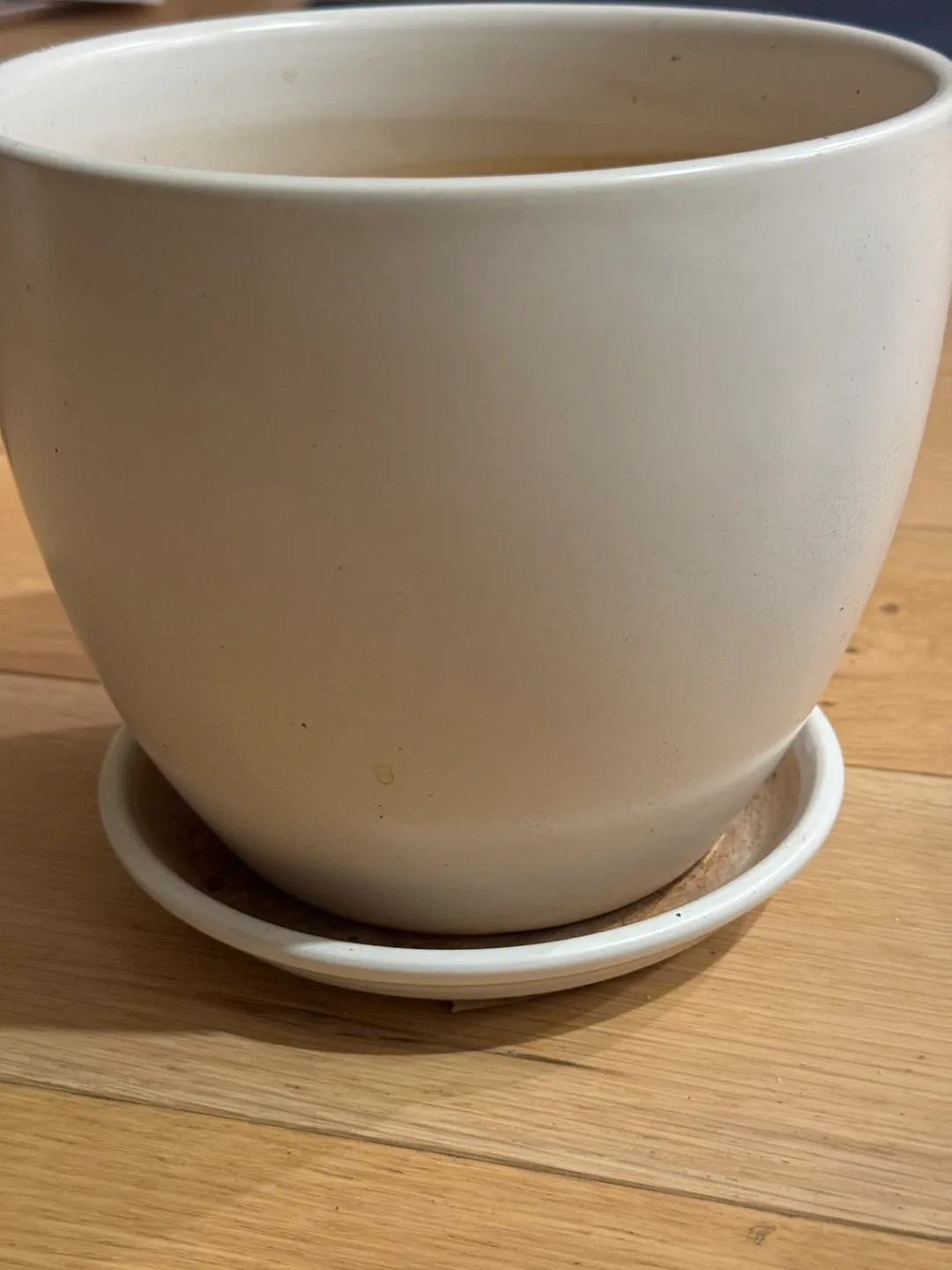 Set of 6 Planter pots,Microgreens tray+ gardening products/seeds image indicator(3)