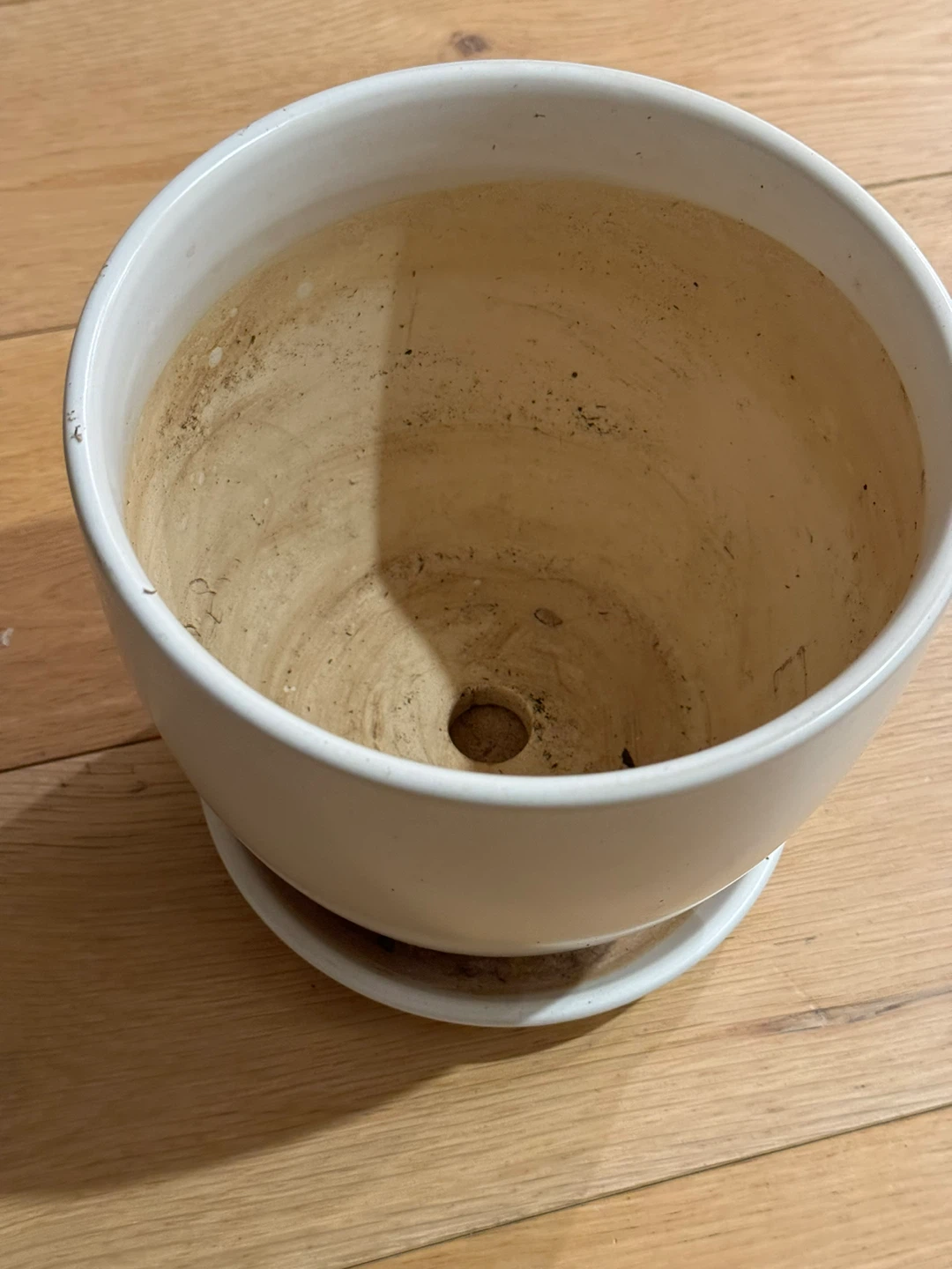 Set of 6 Planter pots,Microgreens tray+ gardening products/seeds - photo 4