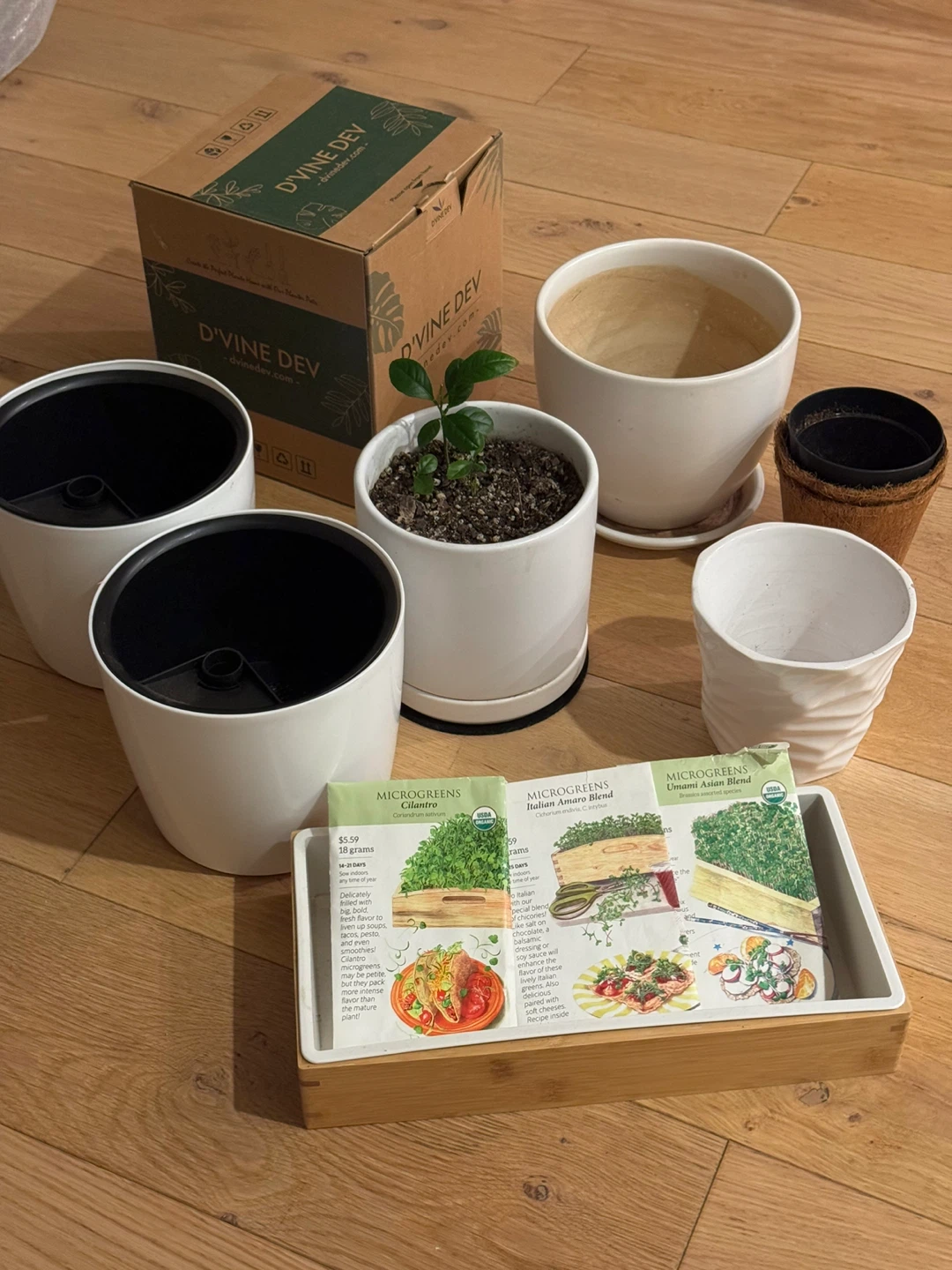 Set of 6 Planter pots,Microgreens tray+ gardening products/seeds