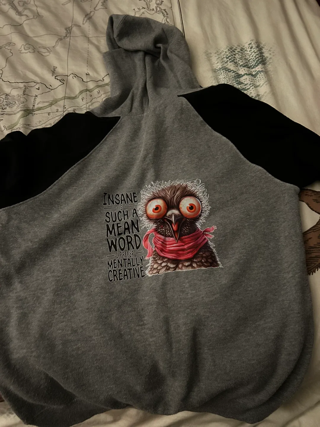 Grey Hoodie with Owl Graphic at back