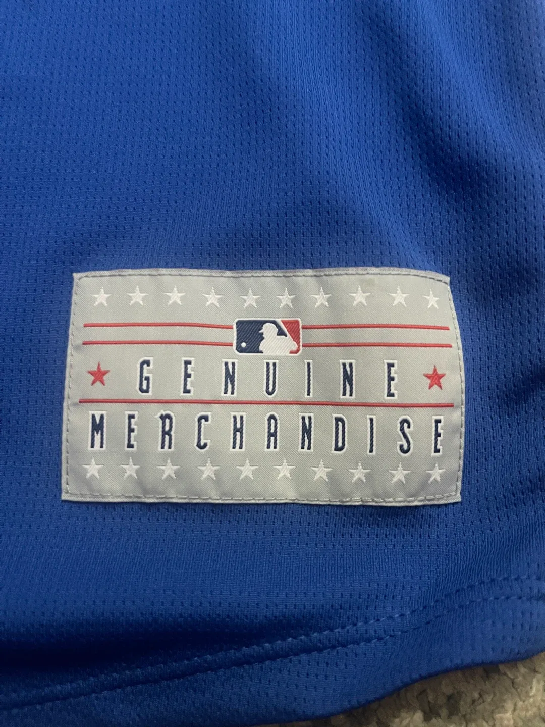 Blue Jays Jersey - Size L/G image indicator(2)