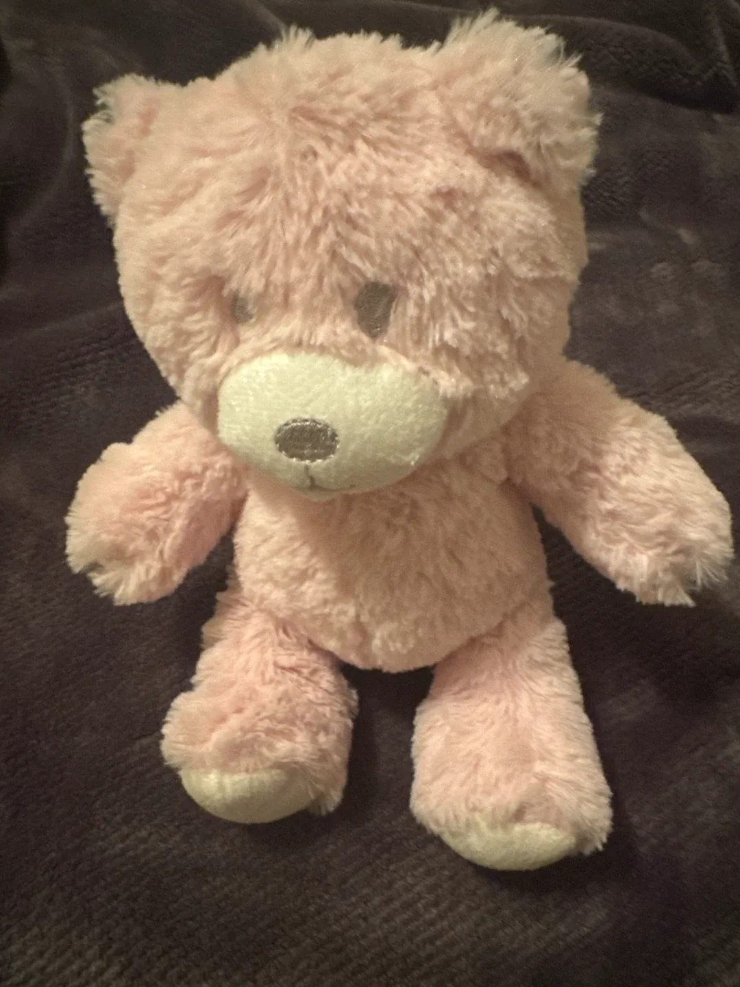 Pink Plush Teddy Bear