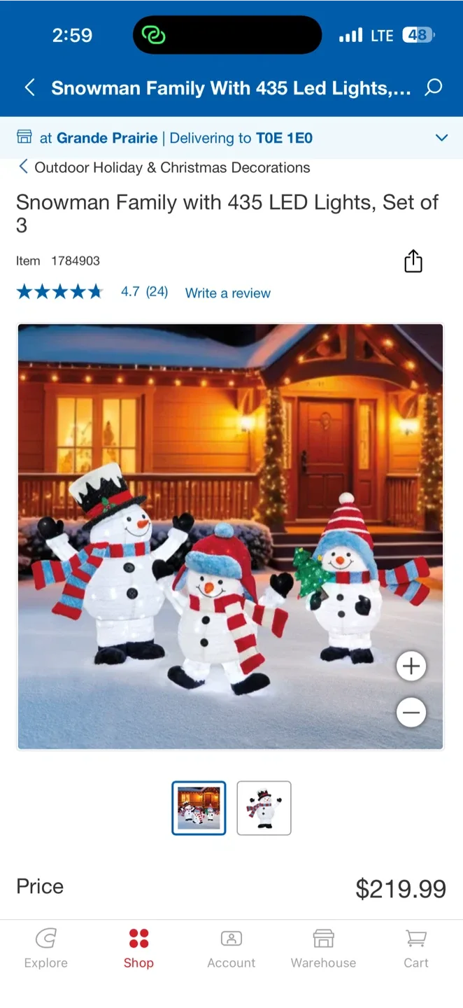 Snowman Family with Twinkle Lights, Set of 3