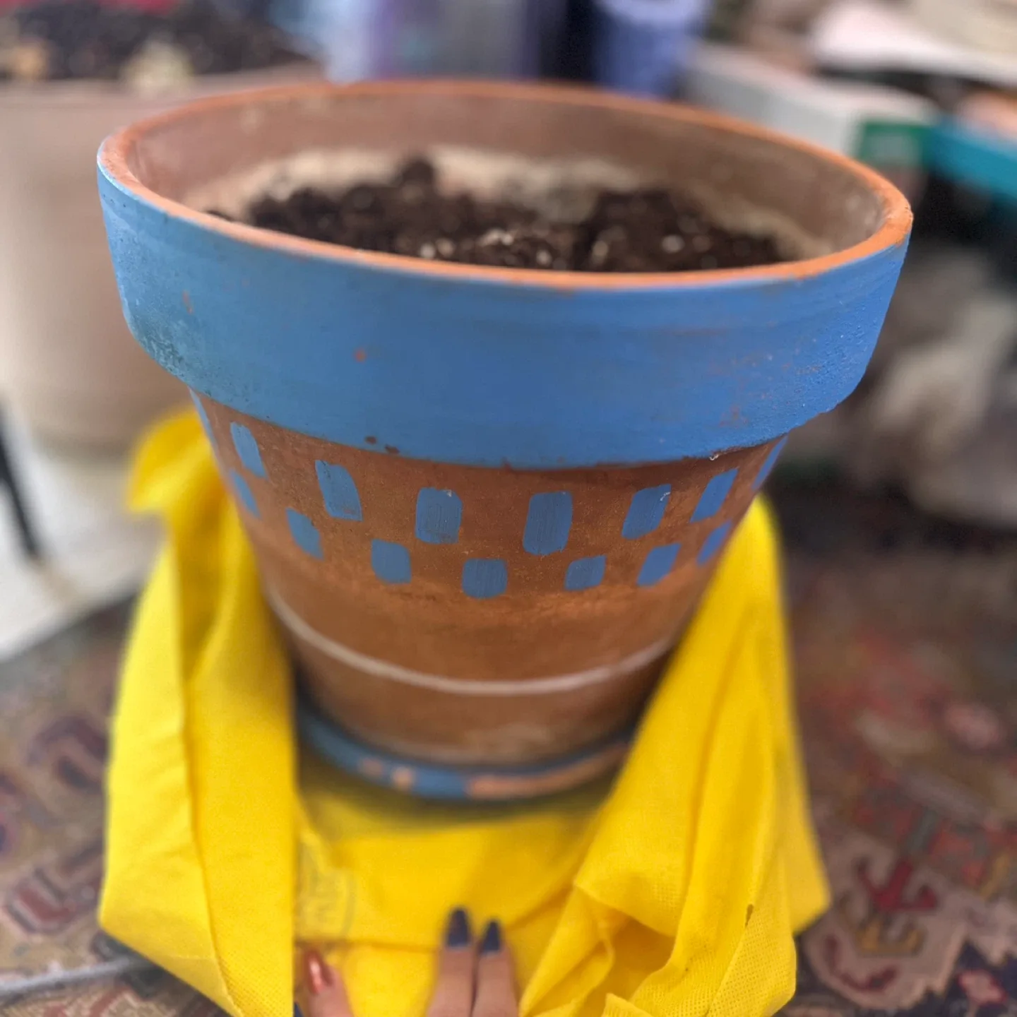 16" Terracotta Planter #freecycle