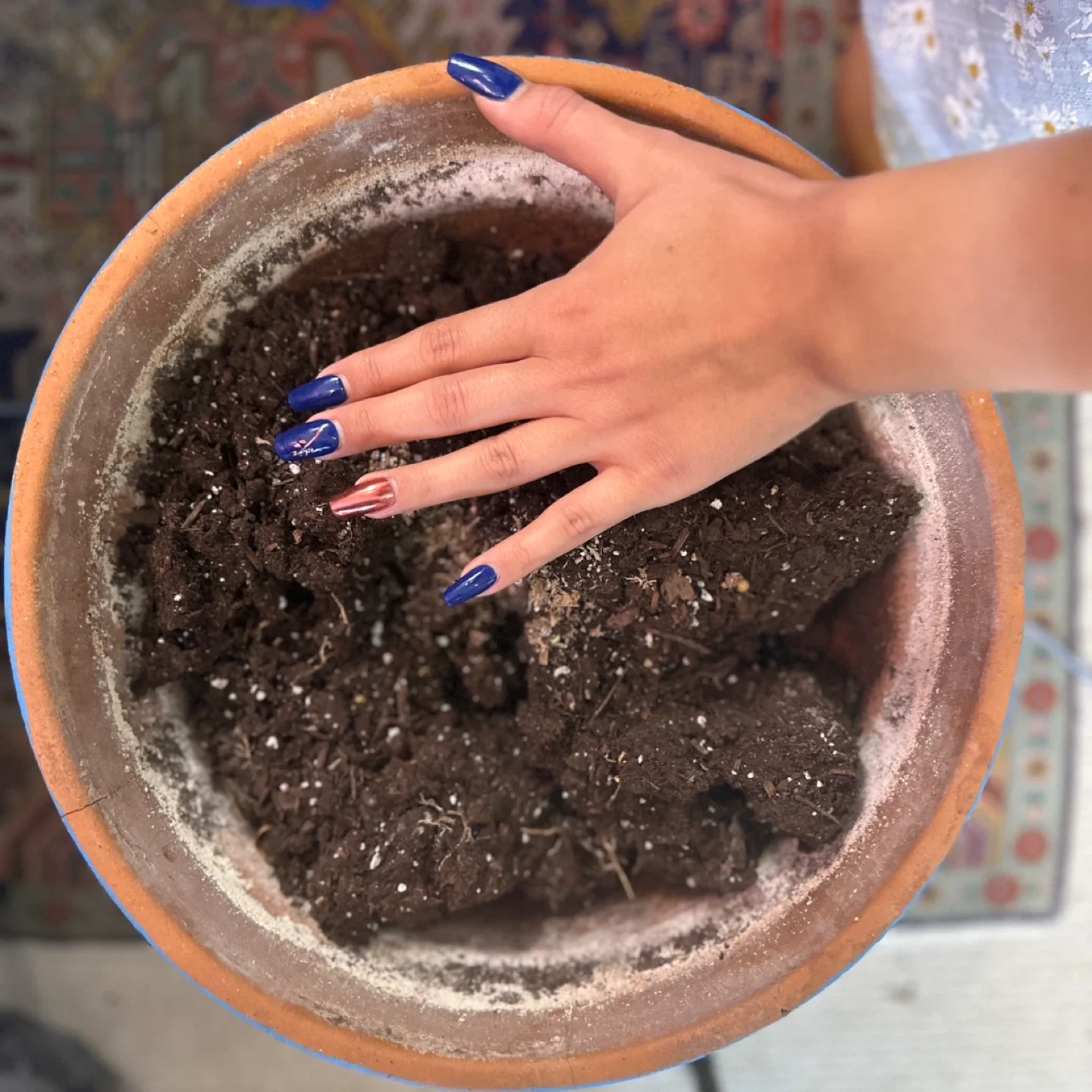 16" Terracotta Planter #freecycle image indicator(2)