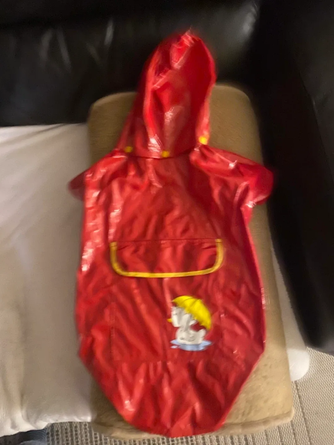 Red Dog Raincoat