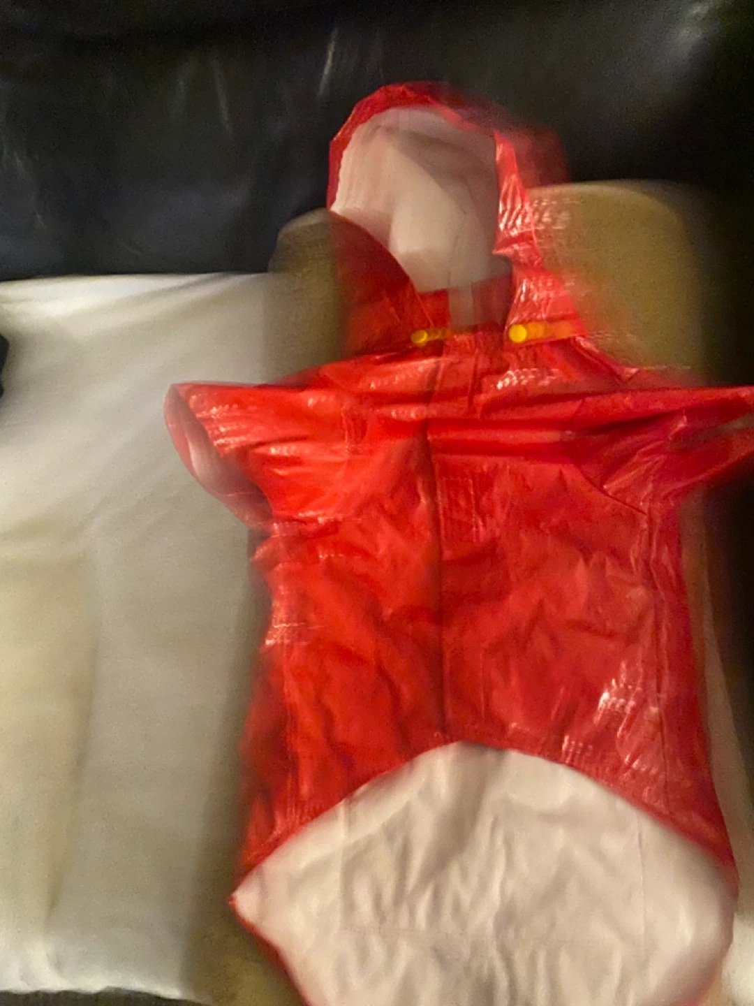 Red Dog Raincoat - photo 3