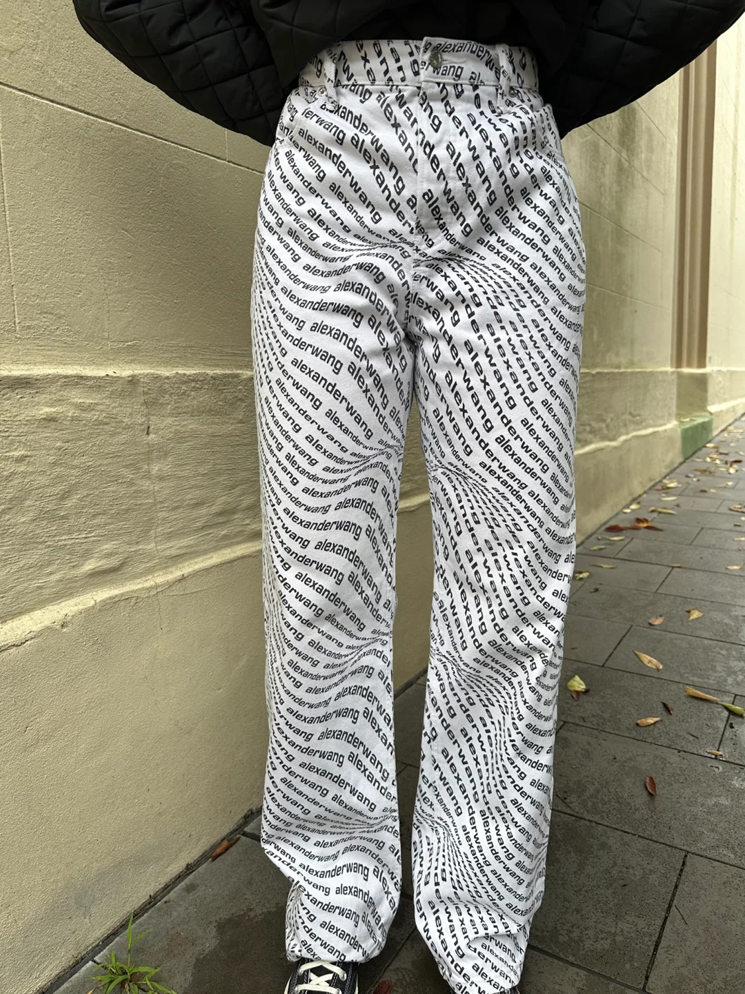 Alexander Wang All Over Logo Pants - Size 24