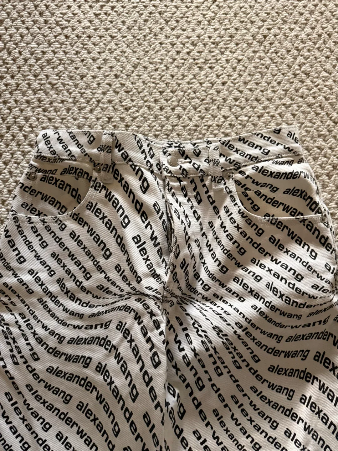 Alexander Wang All Over Logo Pants - Size 24 image indicator(5)