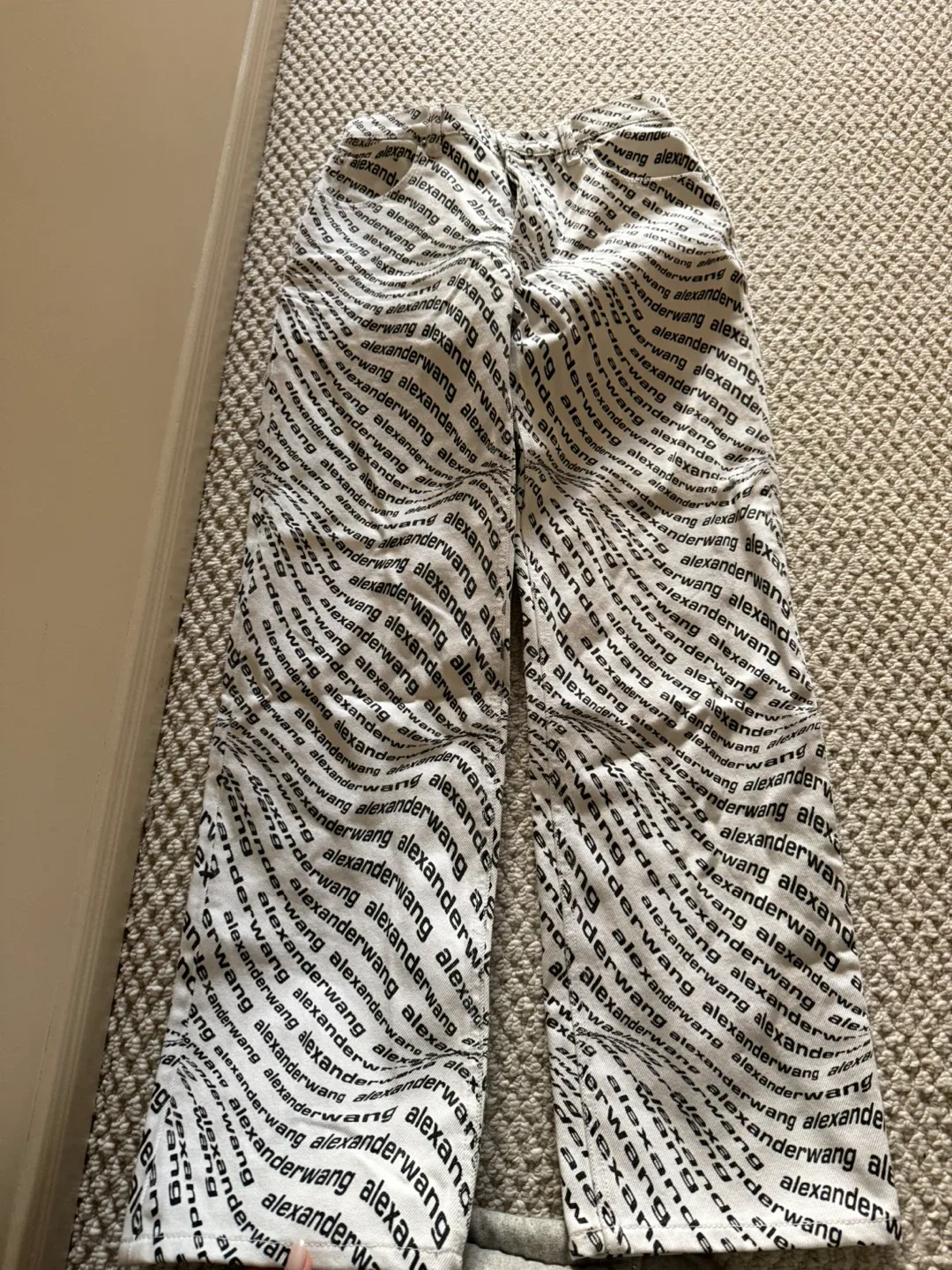 Alexander Wang All Over Logo Pants - Size 24 image indicator(6)