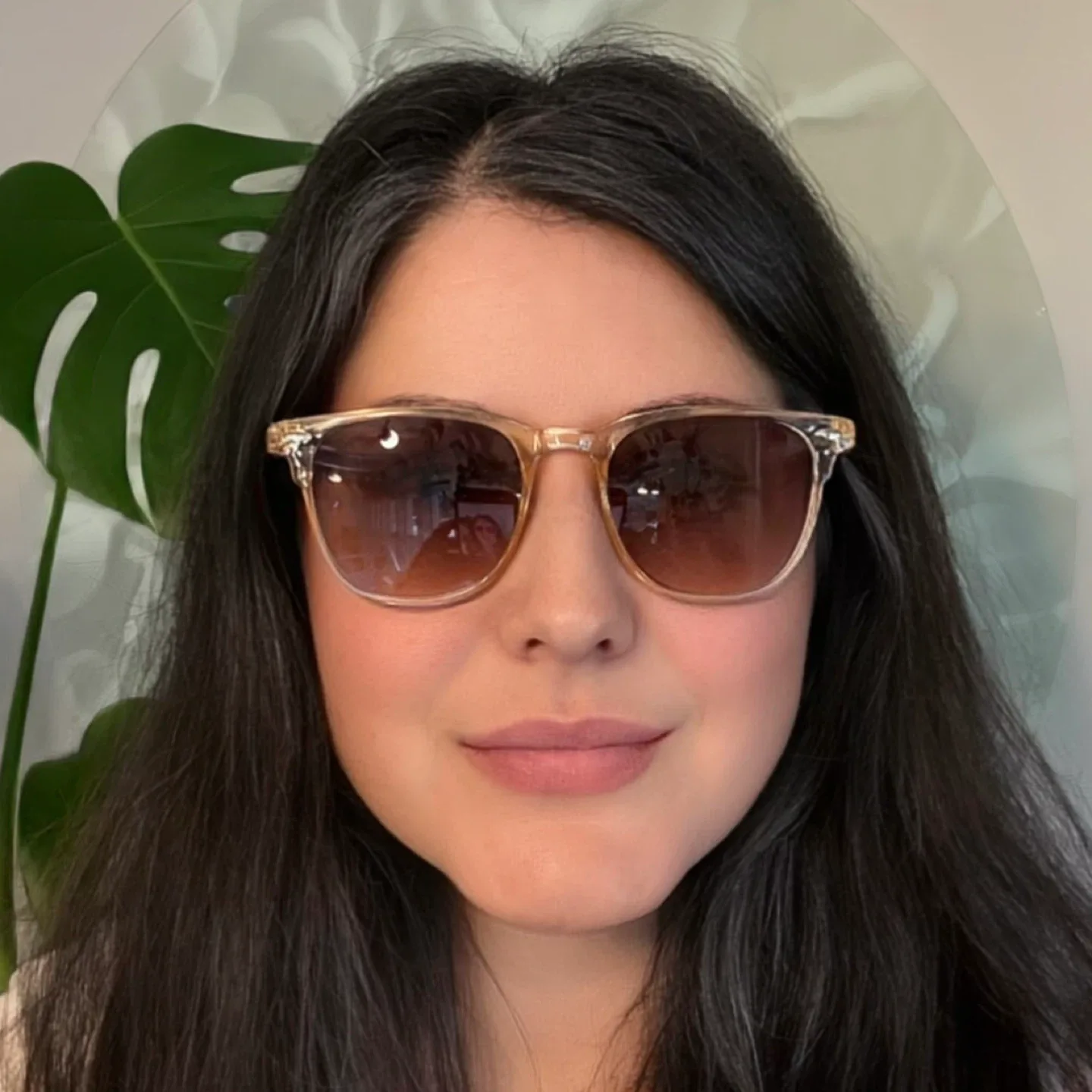 Meet Glasses Clear Nude Square Sunglasses Brown Gradient Lens 2