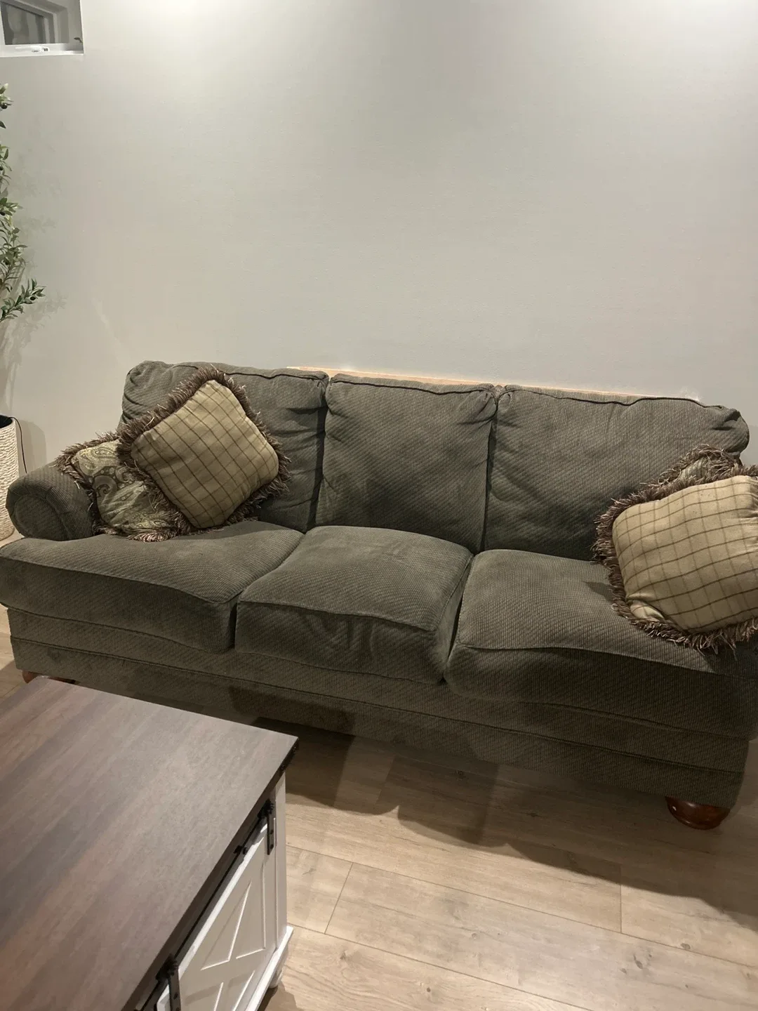 Comfortable green sofa with cushions