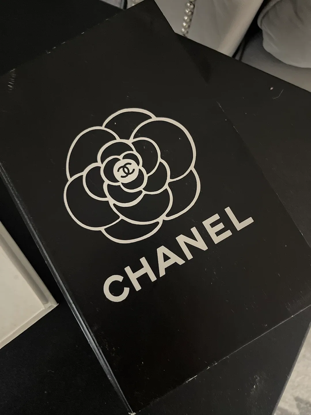 Chanel Decor Books & Pillow image indicator(6)