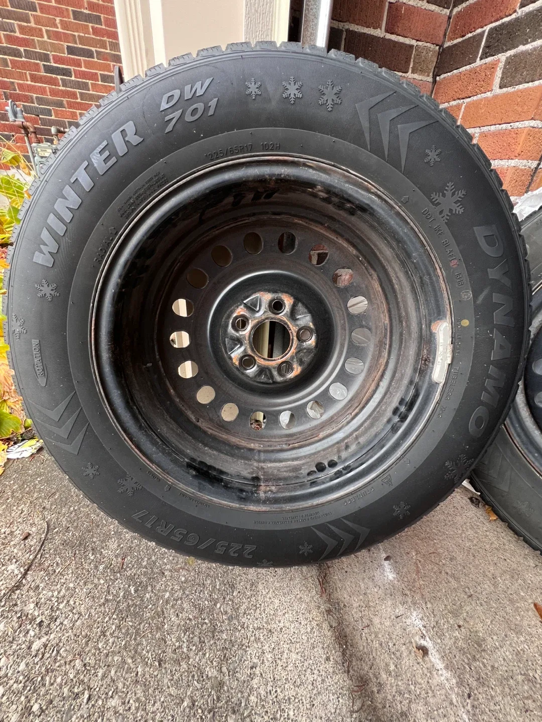 Dynamo Winter DW701 Tire - 225/65R17