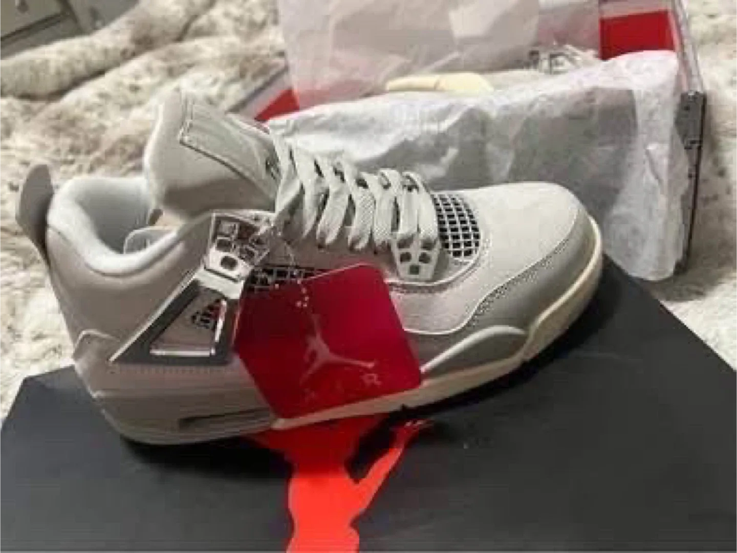 Air Jordan’s 4 Retro Frozen image indicator(3)