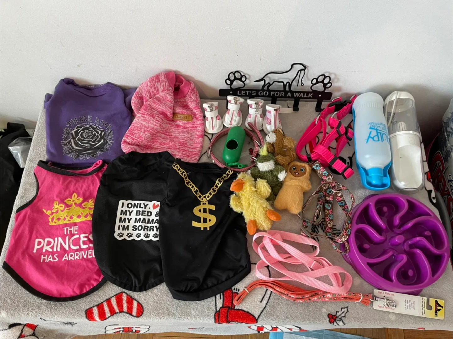 Small Dog Accessories Lot