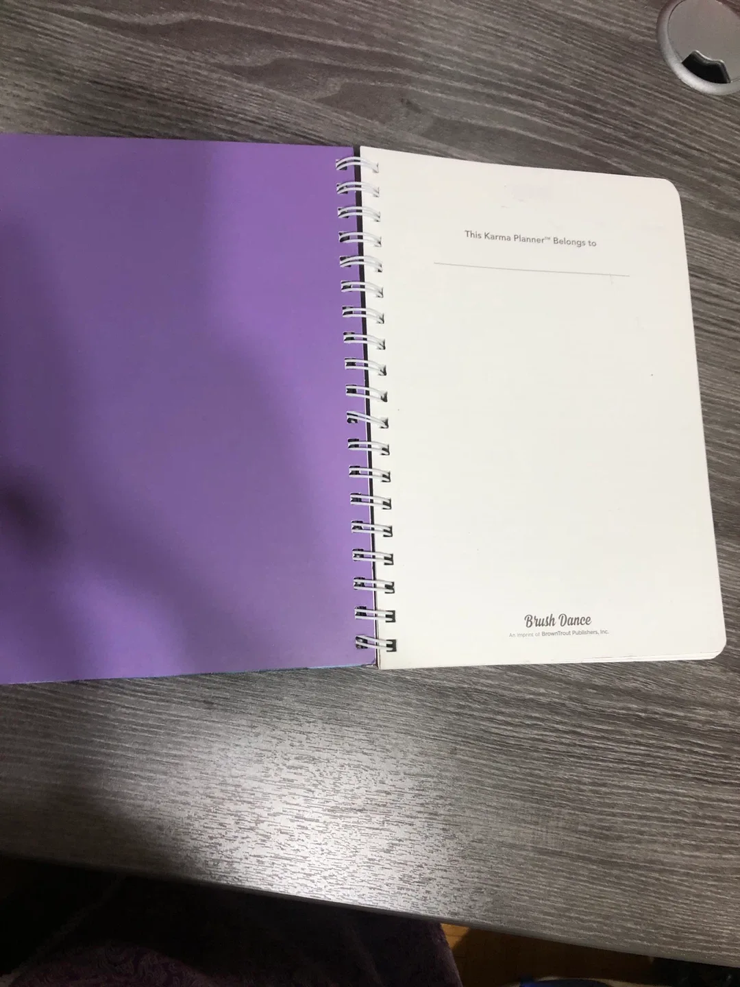 Brush Dance 2024 Living Mindfully Planner image indicator(2)