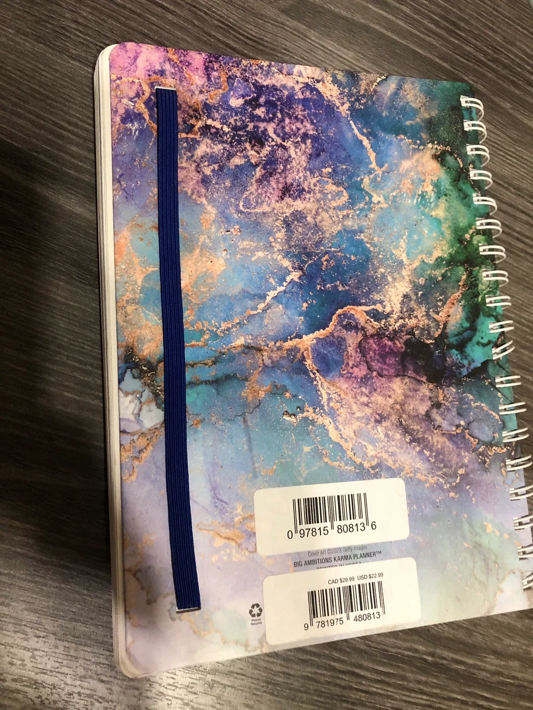 Brush Dance 2024 Living Mindfully Planner image indicator(3)