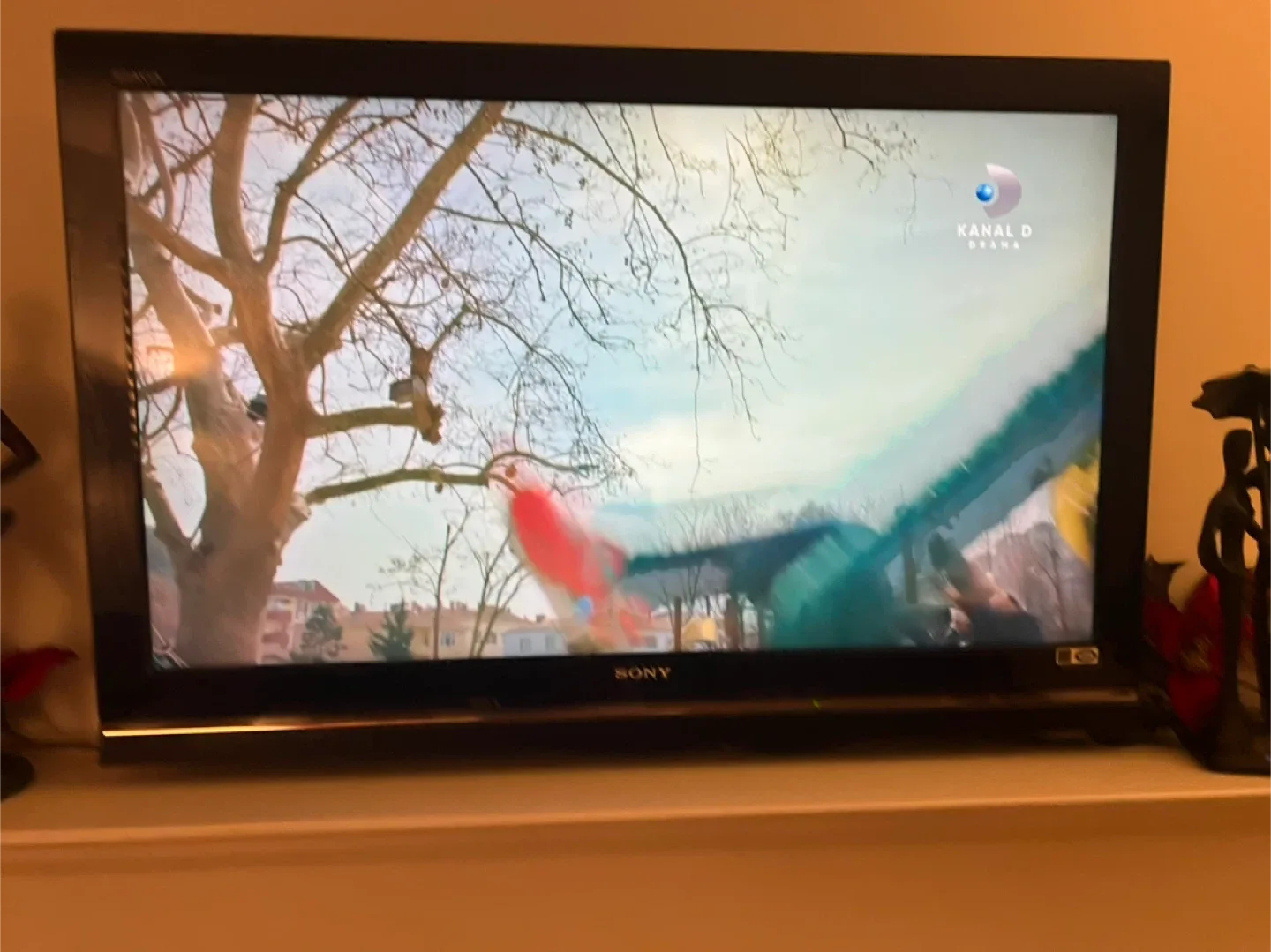 Sony Bravia TV image indicator(2)