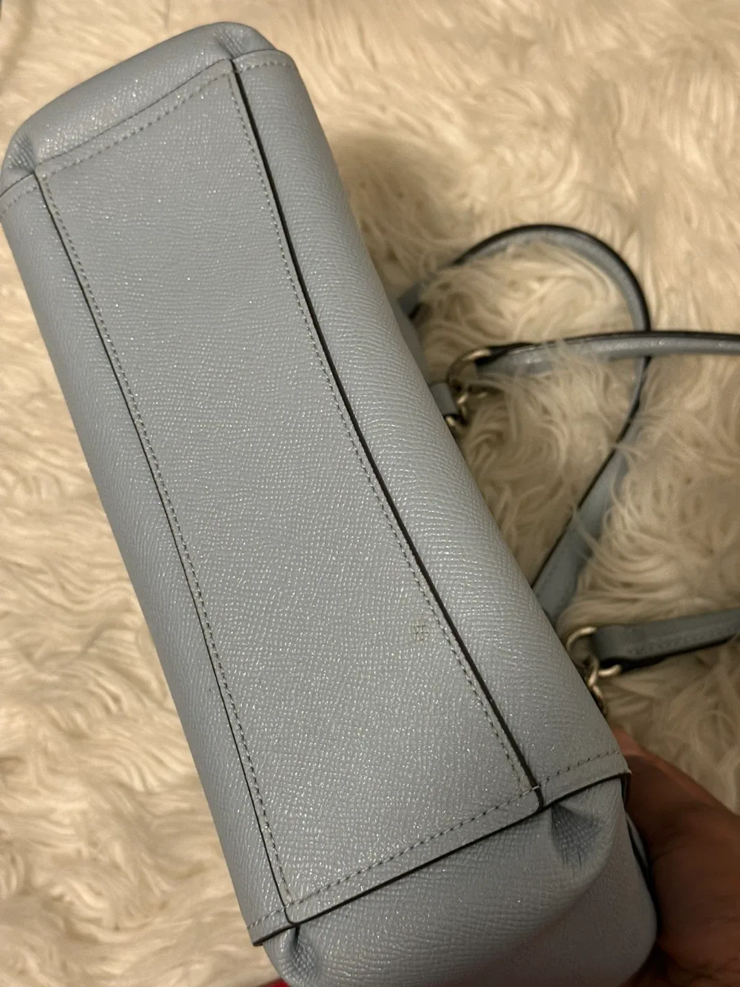 Coach Red Crossbody & Blue Tote Bag image indicator(7)