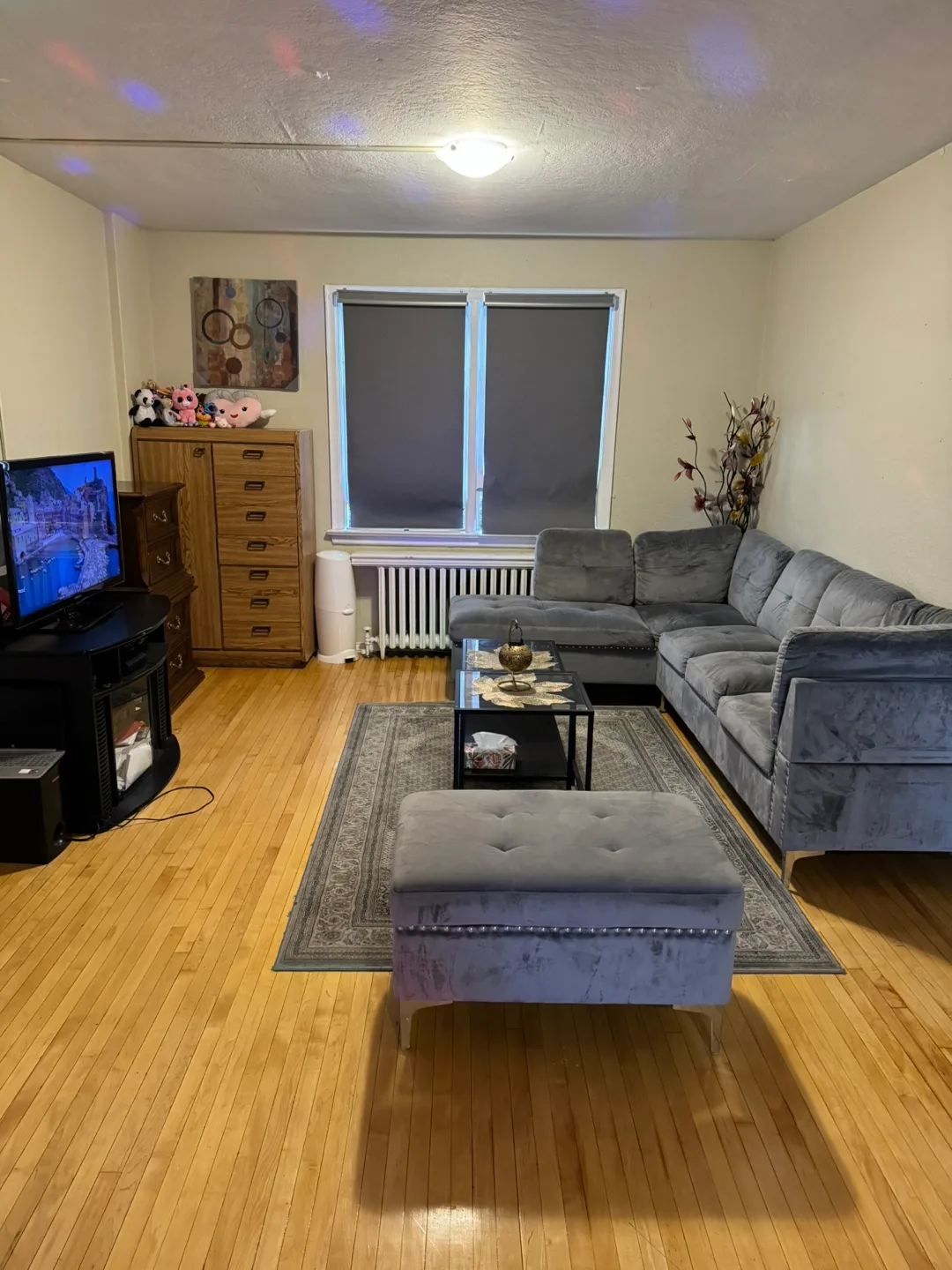 ACCOMODATION available for a girl image indicator(2)