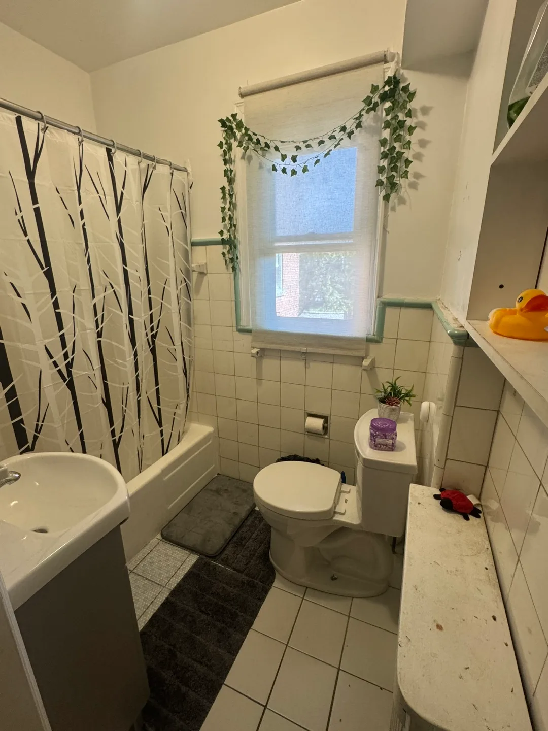 ACCOMODATION available for a girl image indicator(6)