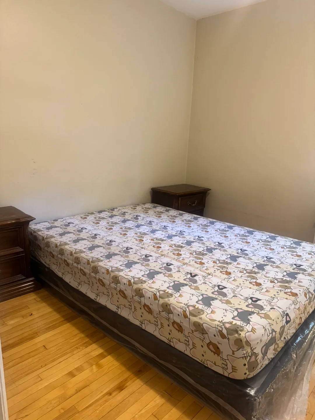 ACCOMODATION available for a girl image indicator(4)