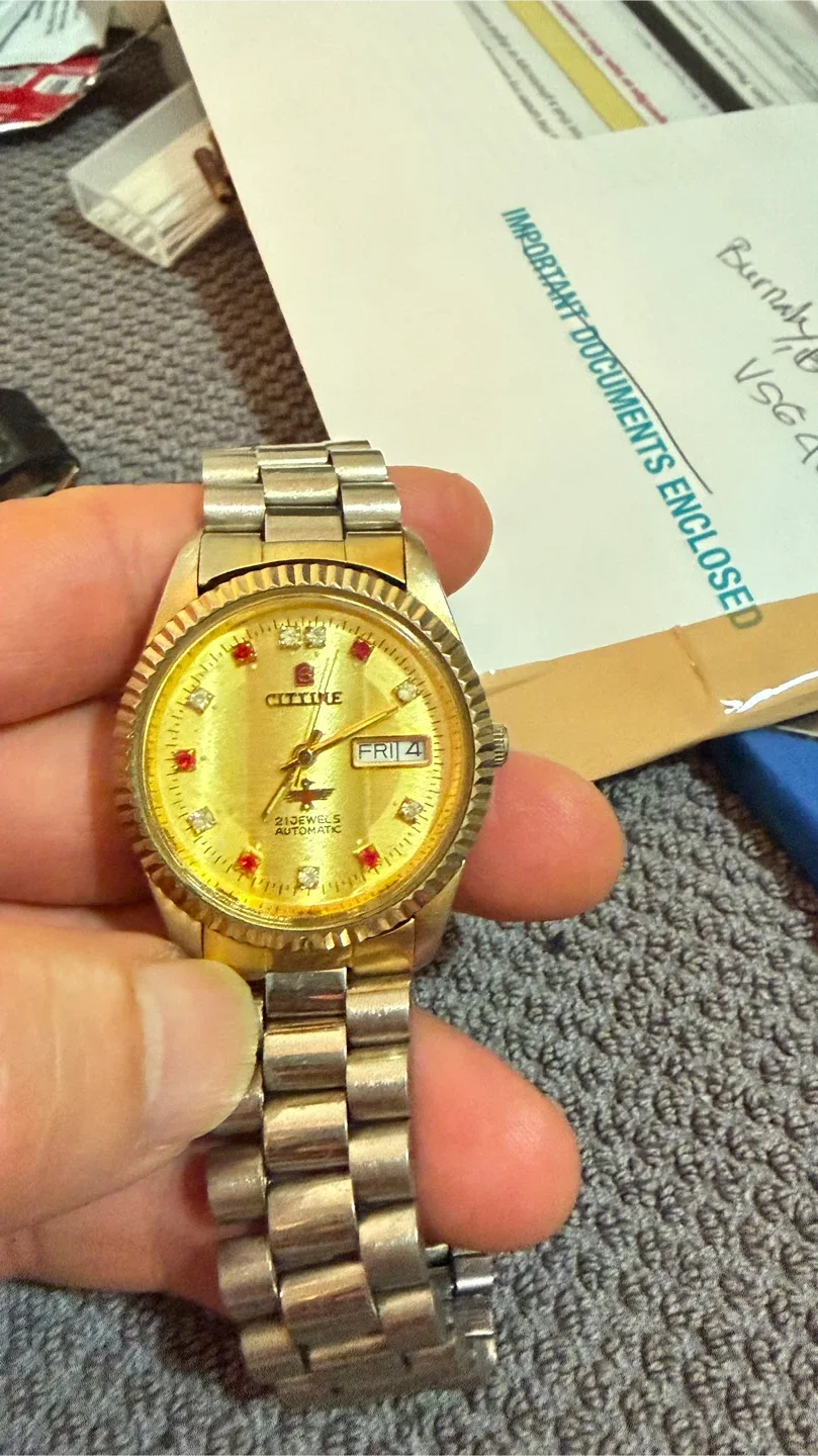 Cittine 21 Jewels Automatic Watch