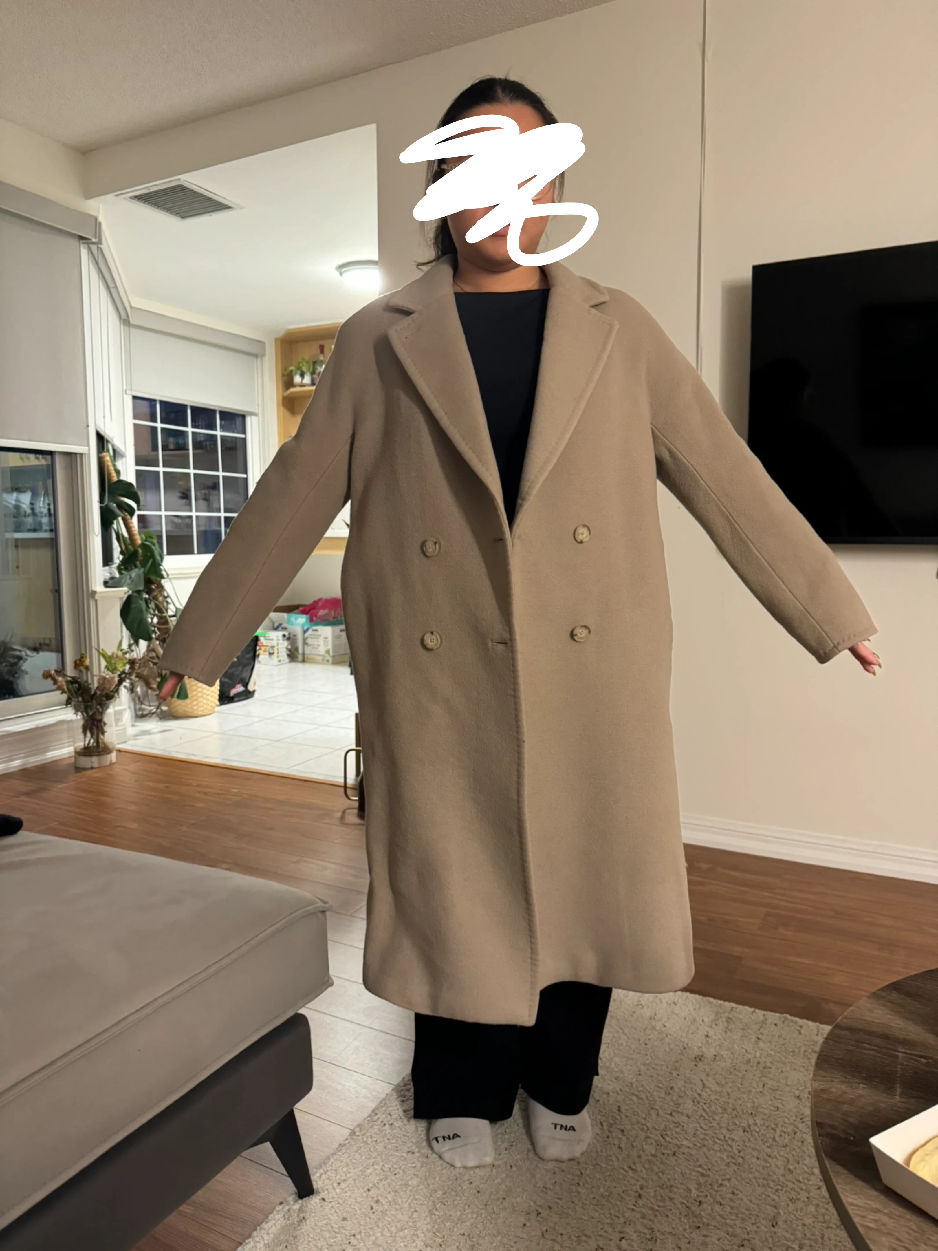 Aritzia Slouch Coat - Taupe