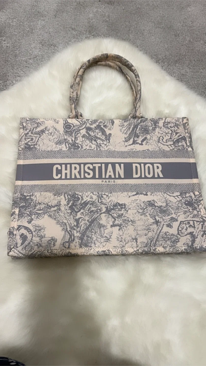 Christian Dior Book Tote Bag