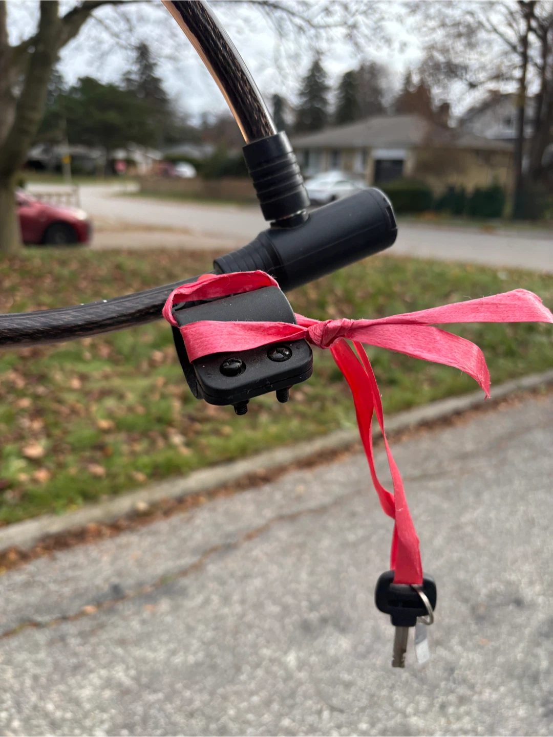 Bike Lock with Key - photo 3