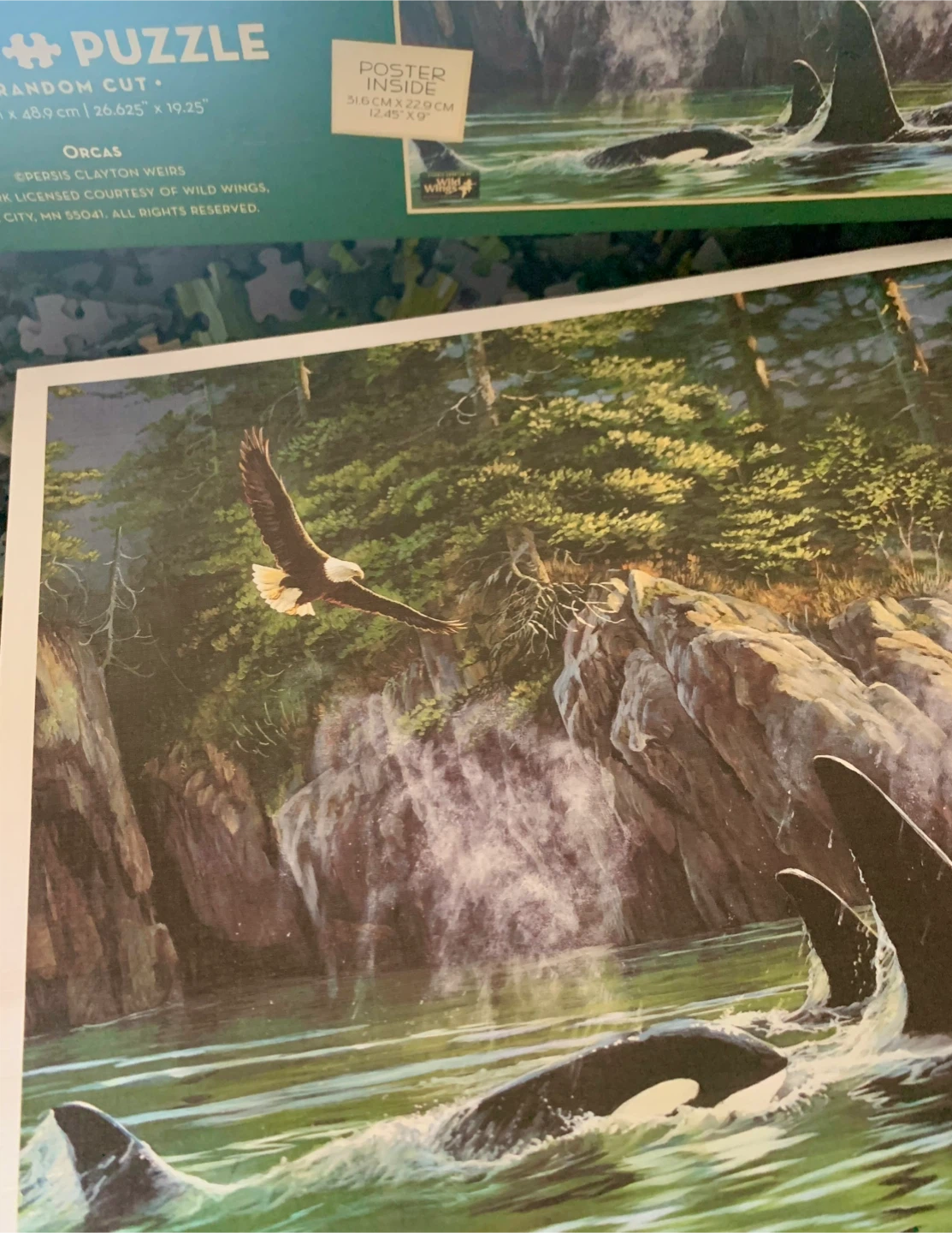 Cobble Hill Orcas 1000 Piece Jigsaw Puzzle - photo 2