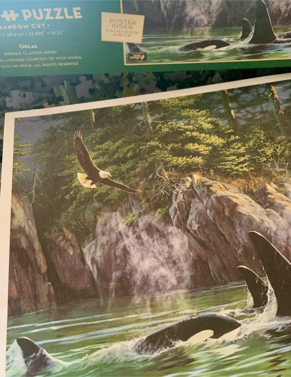 Cobble Hill Orcas 1000 Piece Jigsaw Puzzle image indicator(2)