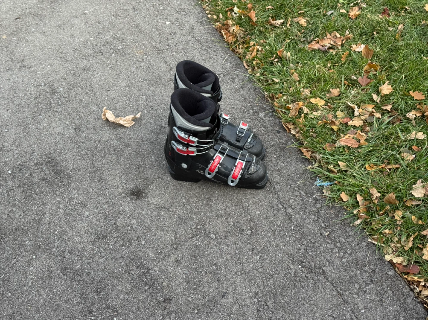 Ski Boots - Size 25.0-25.5