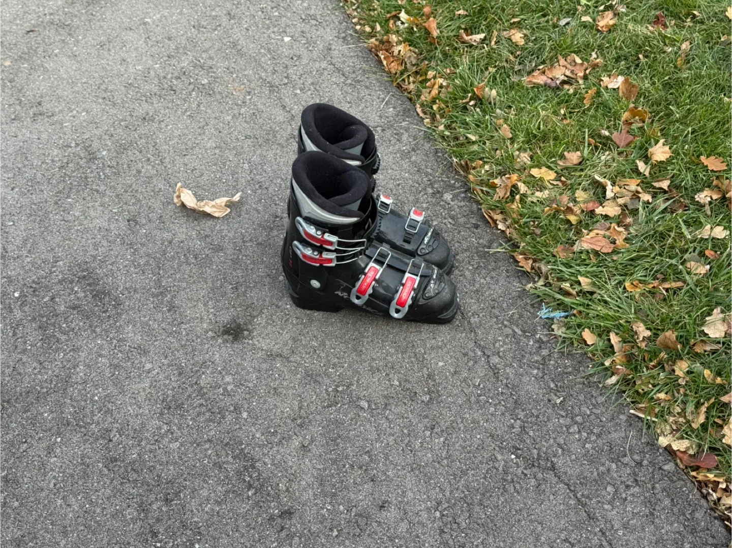 Ski Boots - Size 25.0-25.5 image indicator(2)