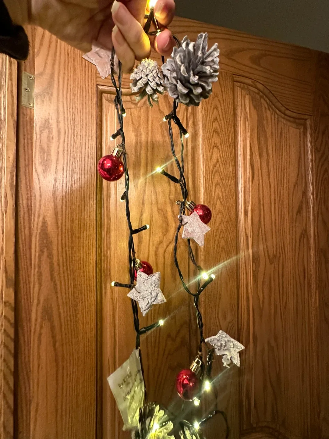 Christmas String Lights with Pinecones & Berries plug in battery image indicator(7)