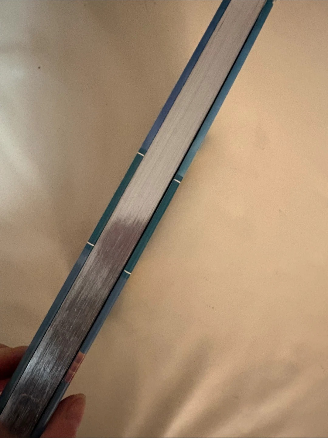 Disney Princess Storybook Collection silver page ends - photo 5