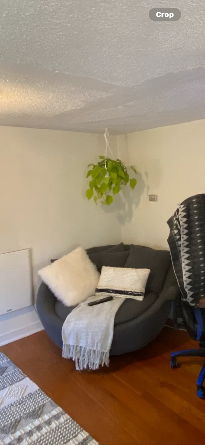 Round Papasan Chair with Cushions - Grey