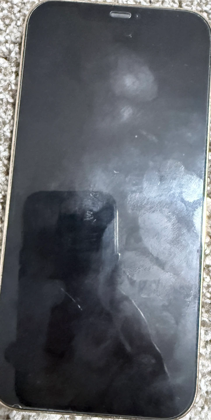 iPhone 12 Pro Max