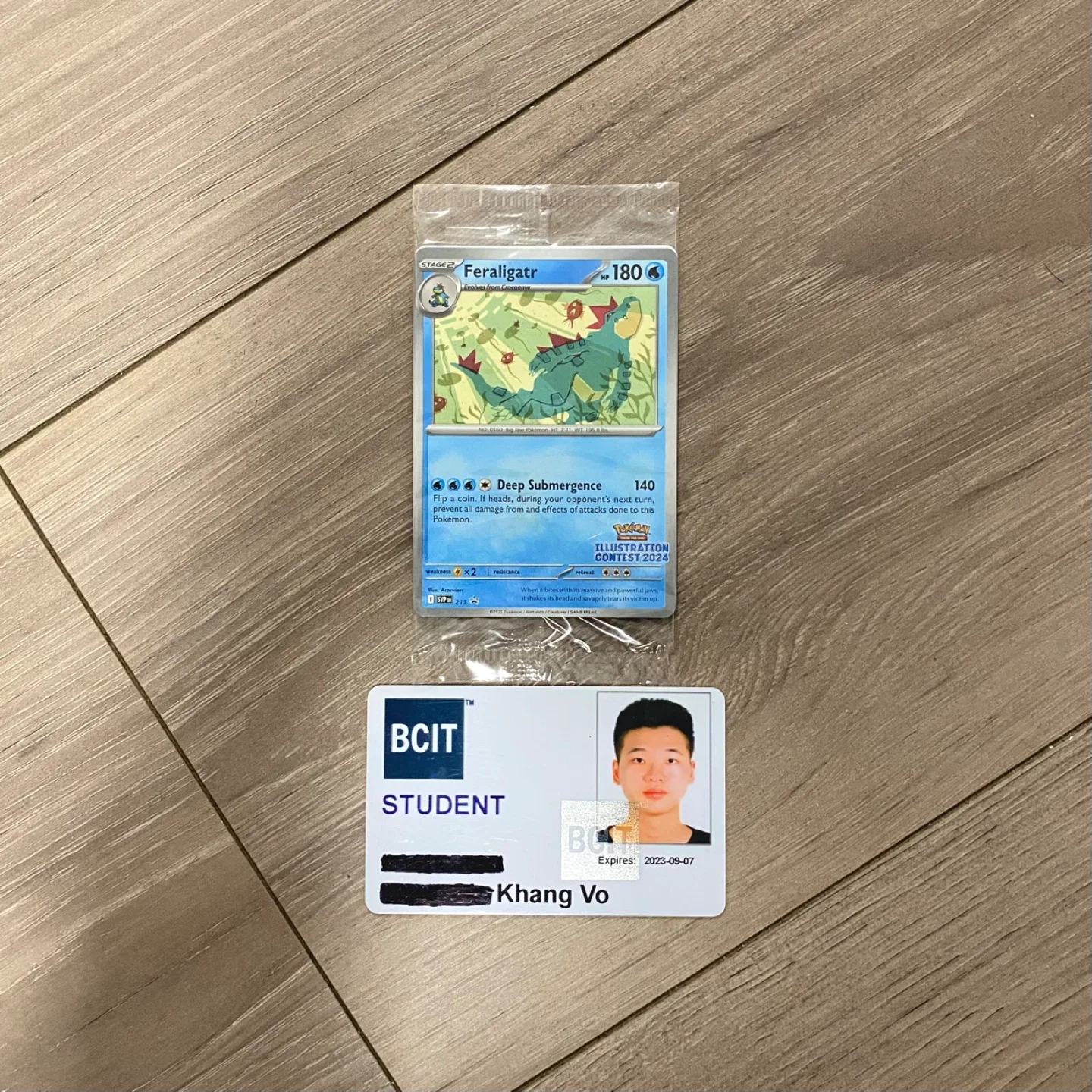 Pokemon Illustration Contest 2024 Promo