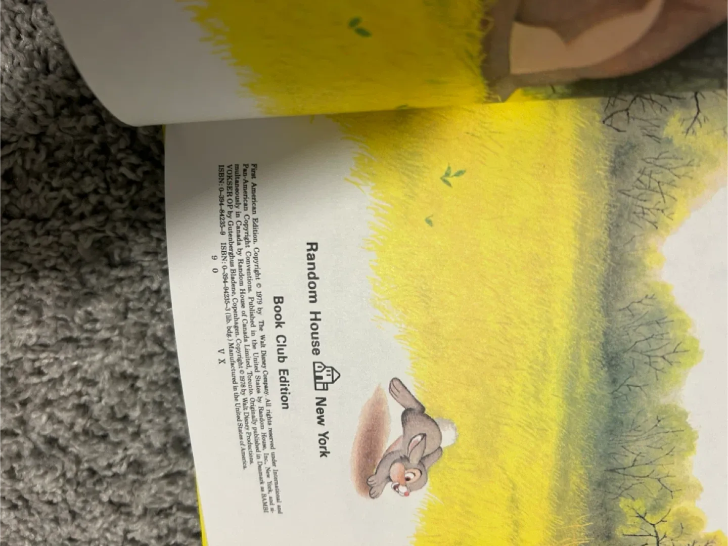 Walt Disney Productions Children's Book set image indicator(4)