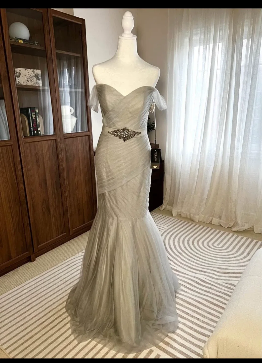 Terani Tulle Gown, Size 6 - BRAND NEW image indicator(2)