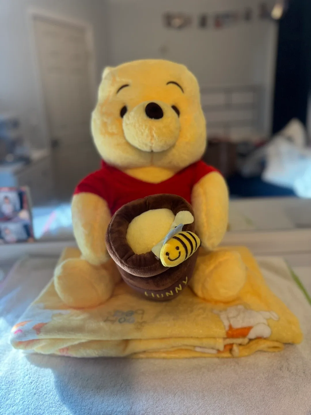 Winnie the Pooh Plush with Blanket