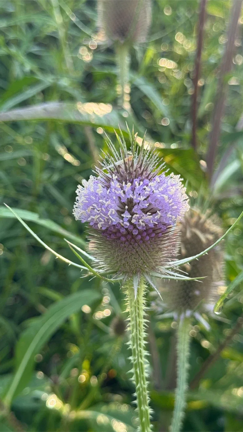 Looking for a cash job