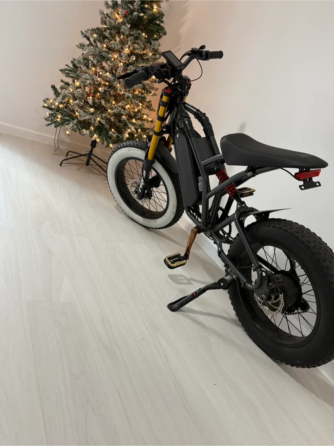 E-Bike image indicator(3)