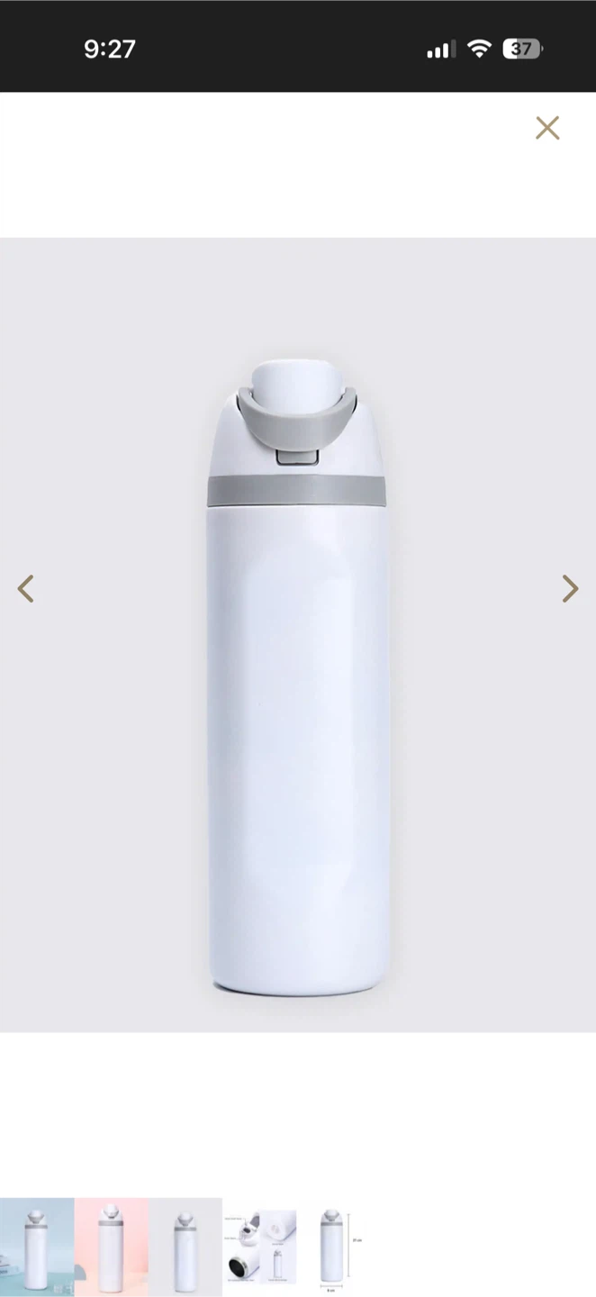 White Insulated Stainless Steel Water Bottle