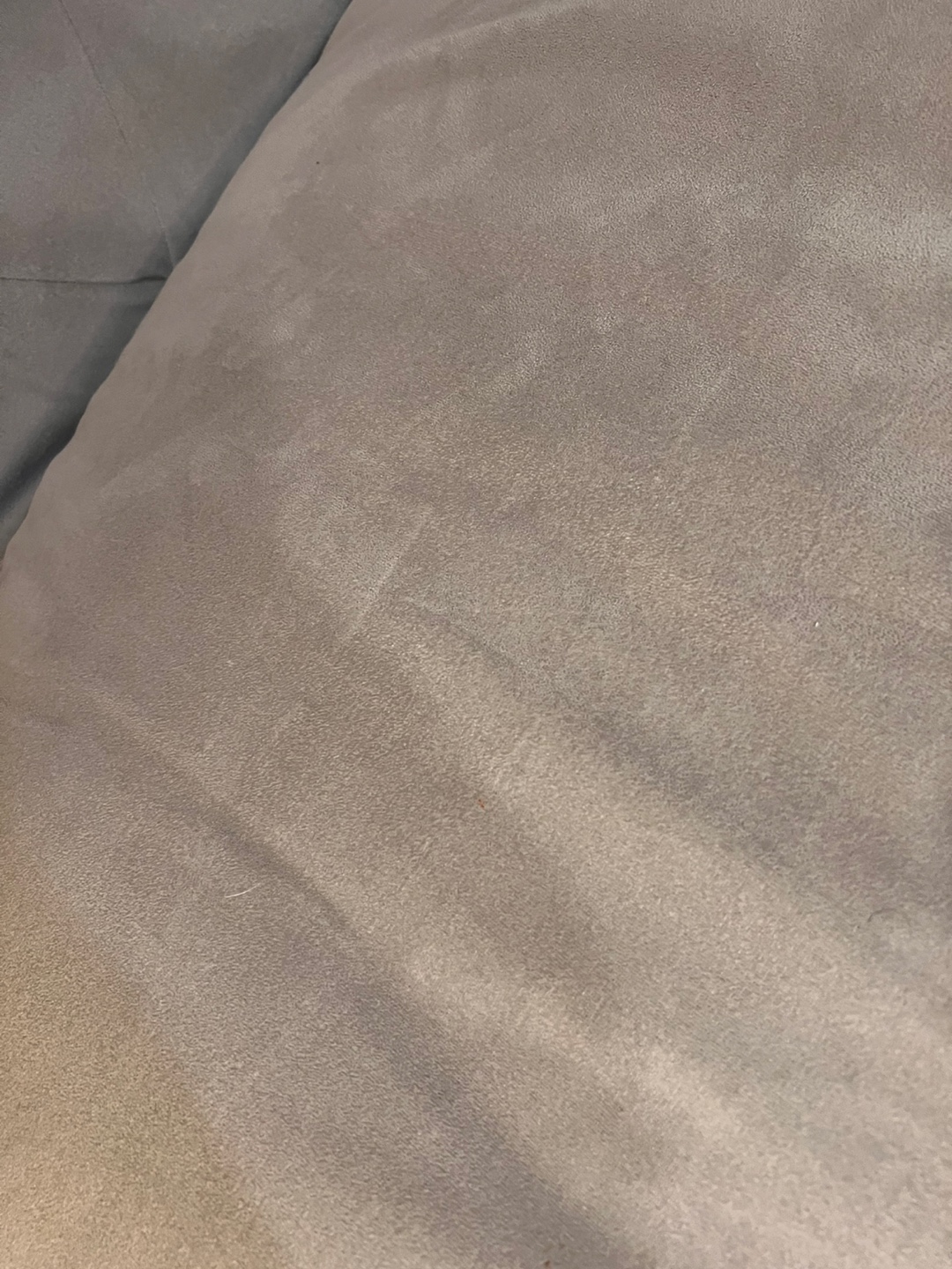 Martha stewart saybridge sofa - photo 4